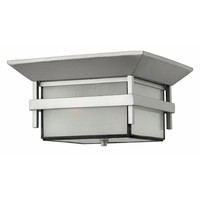 Ceiling Mounted Light 11" Width