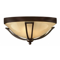 Ceiling Mounted Light 16-3/4" Width