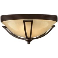 Ceiling Mounted Light 16-3/4" Width