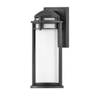 Outdoor Wall Light 14-1/4" Height