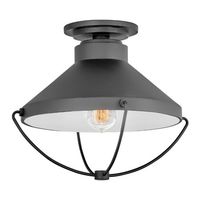 Ceiling Mounted Light 15" Width