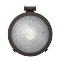 Outdoor Wall Light 12-3/4" Height