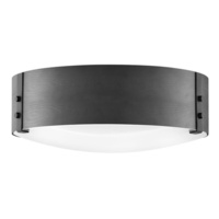 Ceiling Mounted Light 15" Width