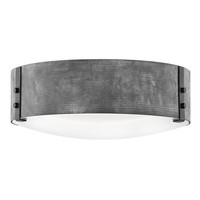 Ceiling Mounted Light 15" Width