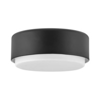 Flush Mount Ceiling Light 12" Width