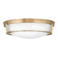 Flush Mount Ceiling Light 21-1/4" Width