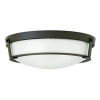 Flush Mount Ceiling Light 21-1/4" Width