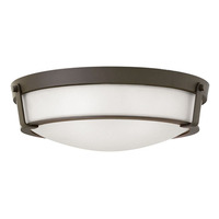 Flush Mount Ceiling Light 21-1/4" Width