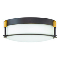 Flush Mount Ceiling Light 16-1/2" Width