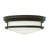 Semi Flush Mount 20" Width