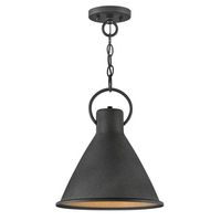 Down Light Pendant 12" Width