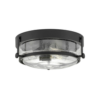 Flush Mount Ceiling Light 15-3/4" Width