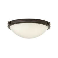 Flush Mount Ceiling Light 13-3/4" Width