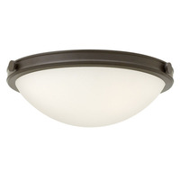 Flush Mount Ceiling Light 13-3/4" Width