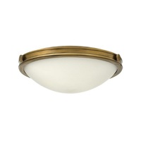 Flush Mount Ceiling Light 19" Width