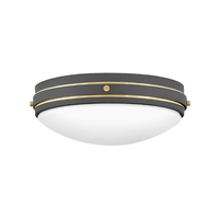 Flush Mount Ceiling Light 15-3/4" Width