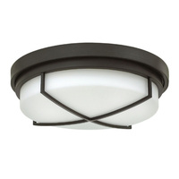 Flush Mount Ceiling Light 17" Width