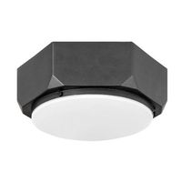 Flush Mount Ceiling Light 13" Width