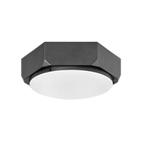 Flush Mount Ceiling Light 16" Width