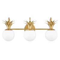 Bathroom Lighting (3 bulbs) 24" Width