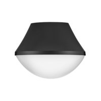 Flush Mount Ceiling Light 11" Width