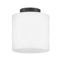 Flush Mount Ceiling Light 8-1/2" Width