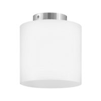 Flush Mount Ceiling Light 8-1/2" Width