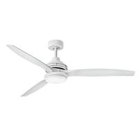 Oversize Ceiling Fan