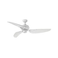 Oversize Ceiling Fan