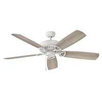 Oversize Ceiling Fan