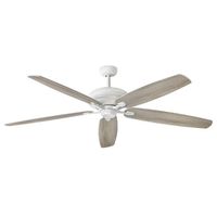 Oversize Ceiling Fan