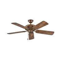 Large Ceiling Fan