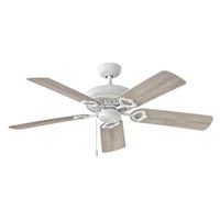 Large Ceiling Fan