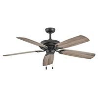 Large Ceiling Fan