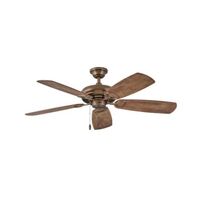 Large Ceiling Fan