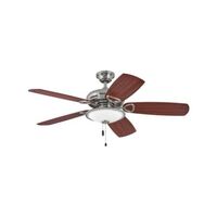 Large Ceiling Fan