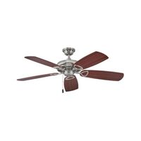 Large Ceiling Fan