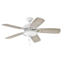 Large Ceiling Fan