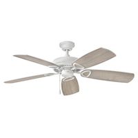 Large Ceiling Fan