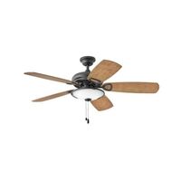 Large Ceiling Fan