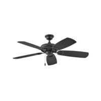 Large Ceiling Fan