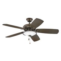 Large Ceiling Fan