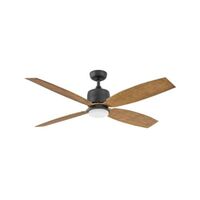 Large Ceiling Fan