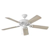 Large Ceiling Fan