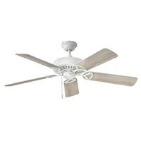 Large Ceiling Fan