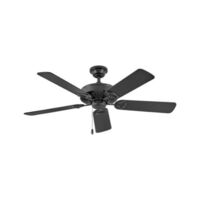 Large Ceiling Fan