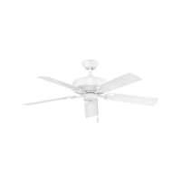 Large Ceiling Fan