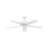 Large Ceiling Fan