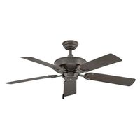 Large Ceiling Fan