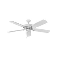 Oversize Ceiling Fan